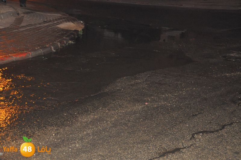 majary wa7a 1204 (8).JPG